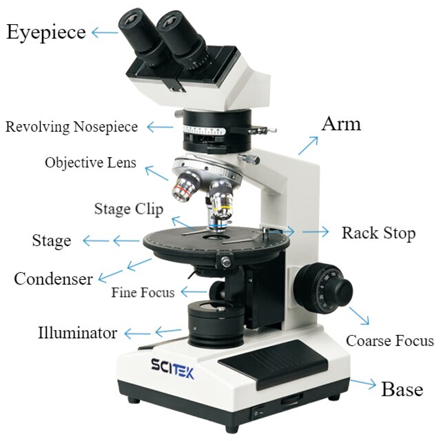 MSC-P107B y T (1)