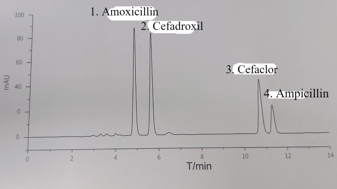 dx-amoxicilina (1)