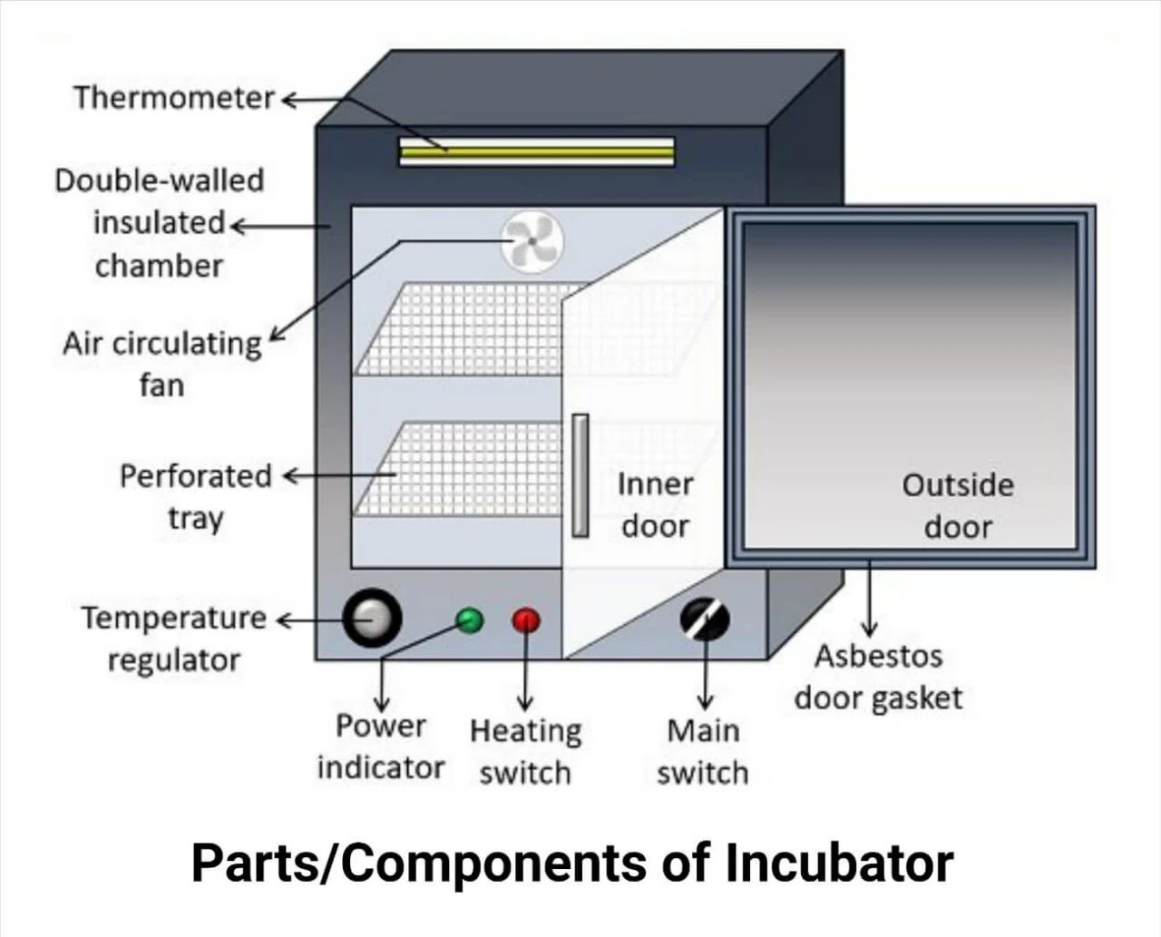 Componentes de la incubadora de laboratorio