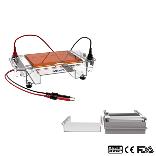 Tanque De Electroforesis Horizontal Para Experimentos En Gel - Ideal Para Prácticas De Biología Y Enseñanza