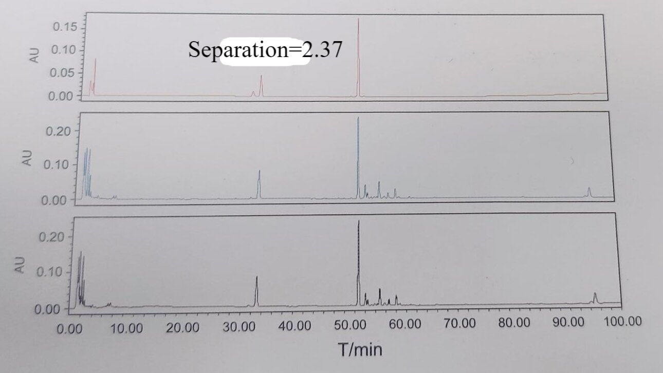 cv-xiyangshen (1)