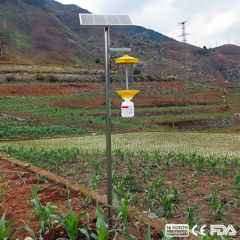 Lámpara para matar plagas de frecuencia de energía solar