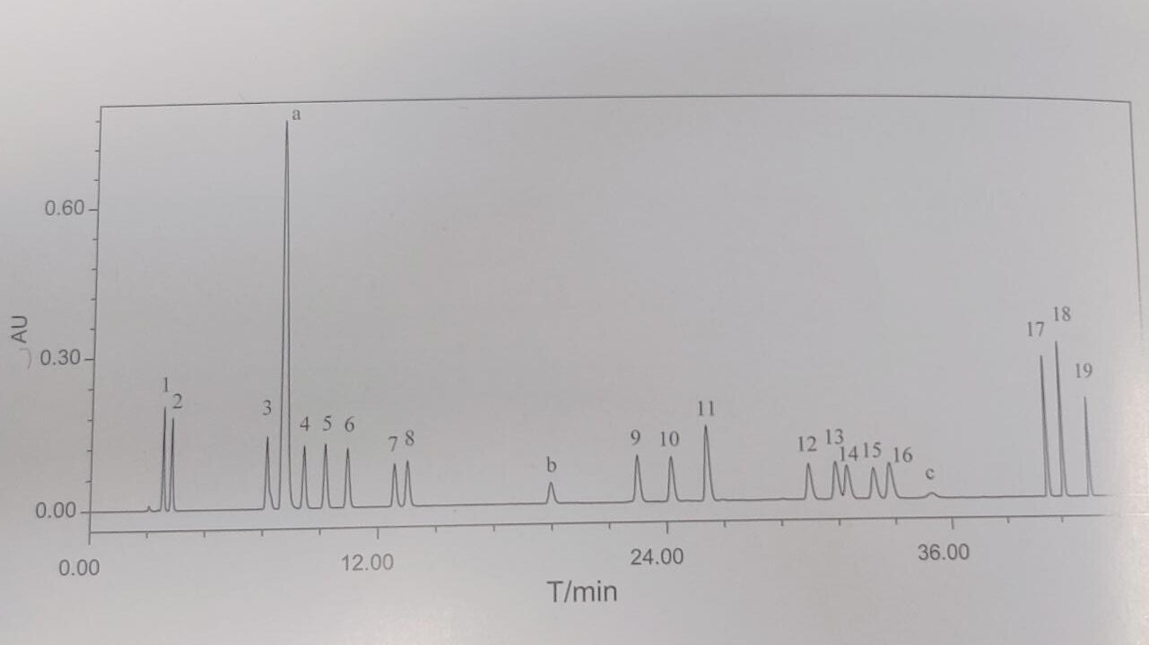 saaa-19 (1)