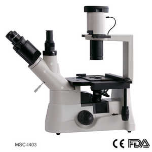 Microscopio invertido, cabeza trinocular