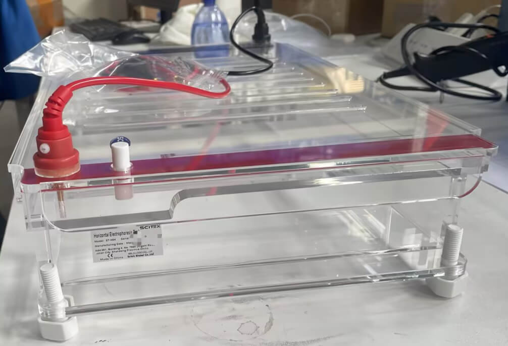 ET-H04 (7) de electroforesis horizontal tanque