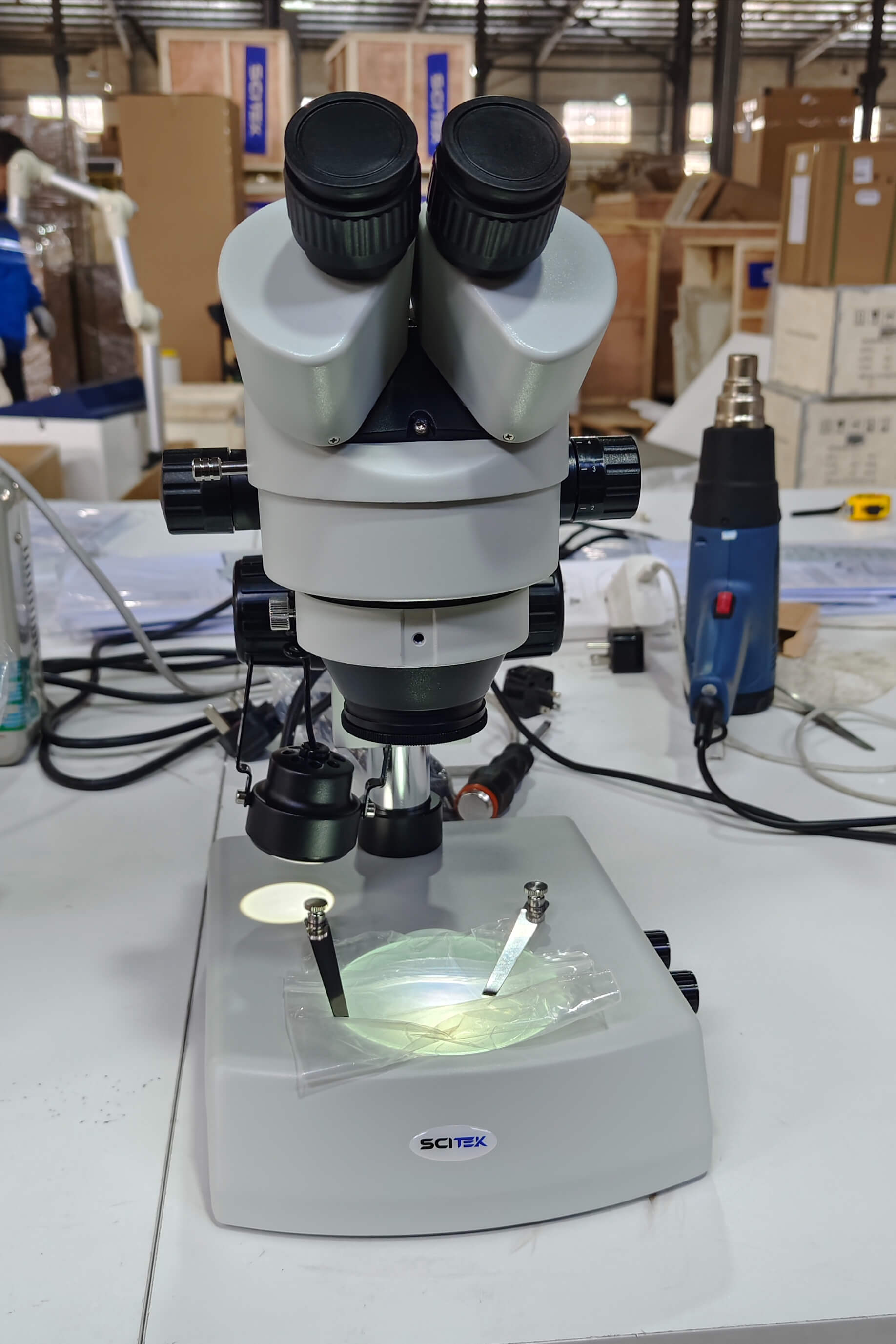 Microscopio estereoscópico