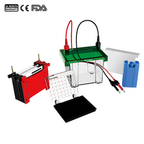 Tanque de electroforesis de transferencia