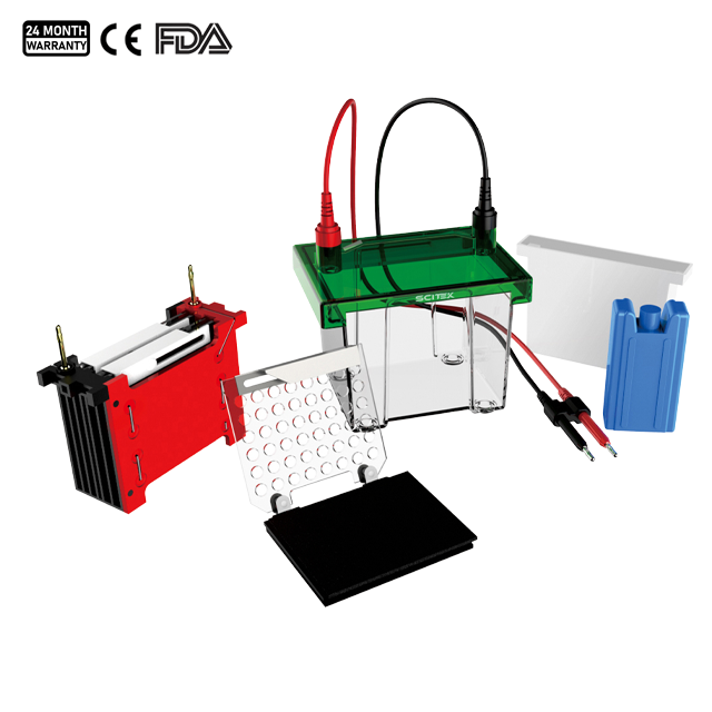 Tanque de electroforesis de transferencia