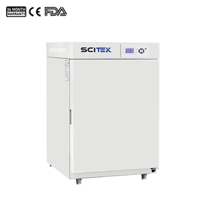 Serie CO2 Incubator CA