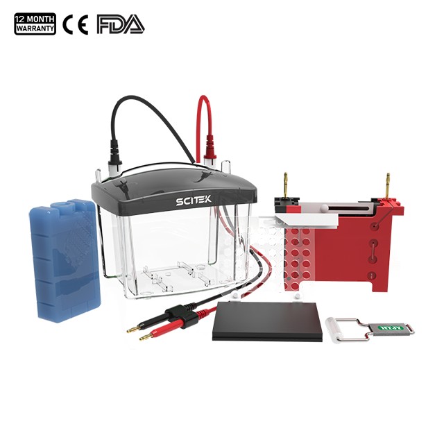 Tanque de electroforesis en gel de transferencia
