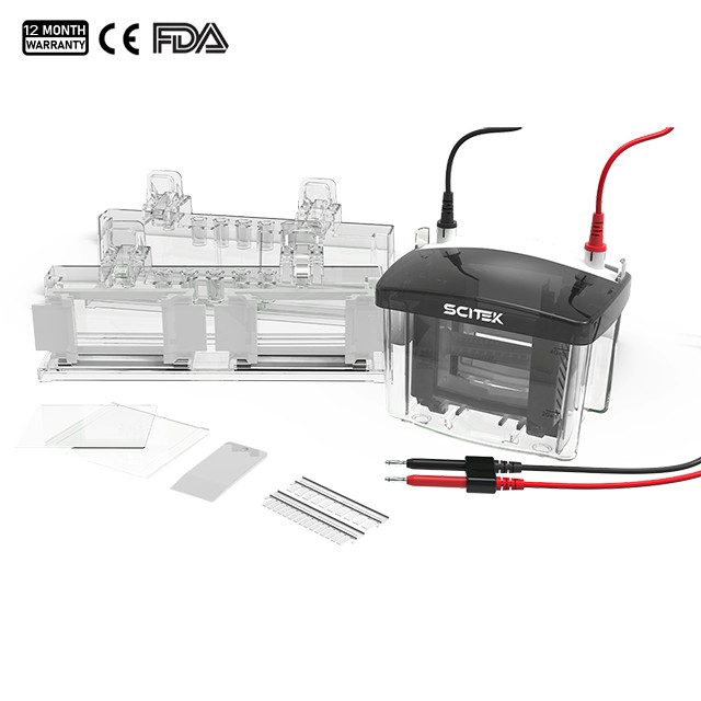 Tanque de electroforesis en gel vertical
