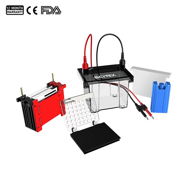 Tanque de electroforesis en gel de transferencia