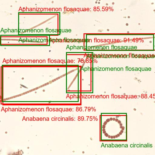 Analizador de fitoplancton con IA.png